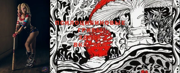 MDMA Богородицк