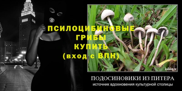 винт Богданович
