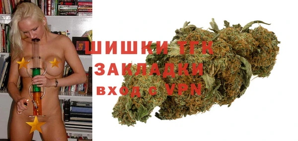 хмурый Бородино