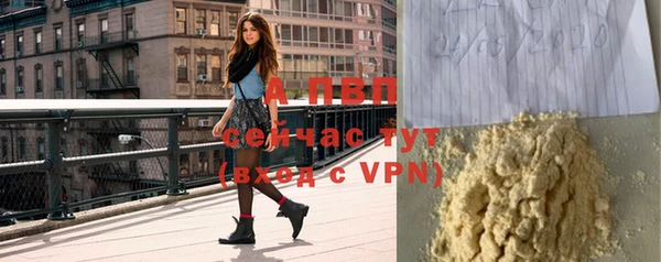 винт Богданович
